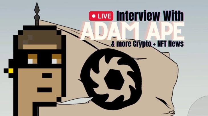 NFT FOUNDER INTERVIEW: Adam Ape | & More Crypto + NFT News