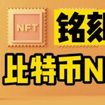 从零开始：如何铸造比特币NFT/sats域名？Ordinals新手必看教程！Yuga比特币nft应该怎么参与？【闪电网络打赏留地址】#比特币 #比特币nft #nft