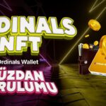 Ordinals NFT Wallet Kurulumu !! Bitcoin NFT Cüzdanı Nasıl Kurulur ? Para Burda !!!