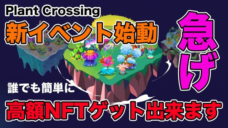 【Plant Crossing】高額NFTを簡単にゲットできる新イベントが開催されました