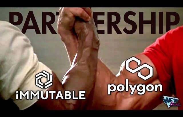 Polygon & Immutable X Partnership Explained (Top NFT Chains Unite!)