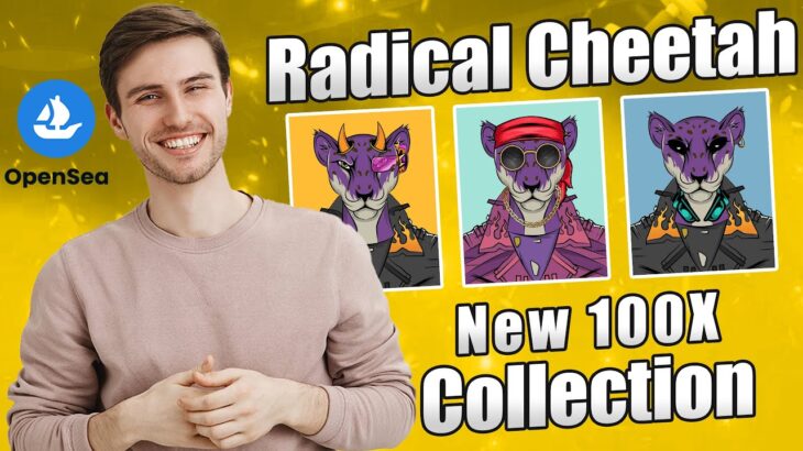 Radical Cheetah Club NFT Collection Review | New 100X Project