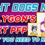 Rekt Dogs NFT – Polygon’s Popular PFP