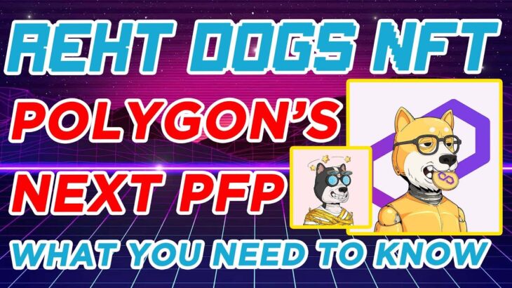 Rekt Dogs NFT – Polygon’s Popular PFP