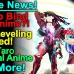 Solo Leveling Delay, Bind NFT Anime, Yoko Taro New Anime, and More Anime News!