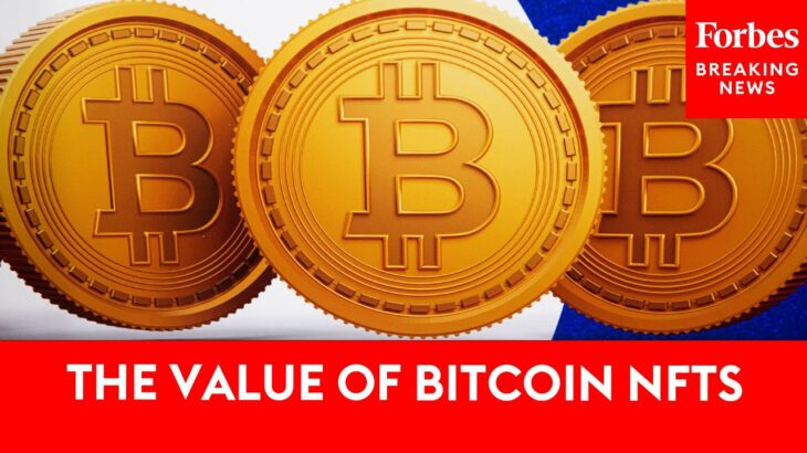 The Value Of Bitcoin NFTs