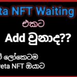 Treta NFT Waiting List එකට ඔබ Add වුනාද? එහෙනම් ලෝකෙටම කලින් Treta NFT ඔබට ගන්න පුලුවන් | Sinhala