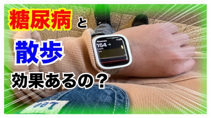 【糖尿病 Type1】糖尿病の血糖値推移に散歩って効果あるの？ウォーキングじゃなくて散歩の血糖値推移は…