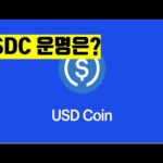 USDC 운명은? coinbase 비트코인 뉴스 스테이블코인  NFT BITCOIN ETH XRP ADA  CRYPTO블록체인 2023