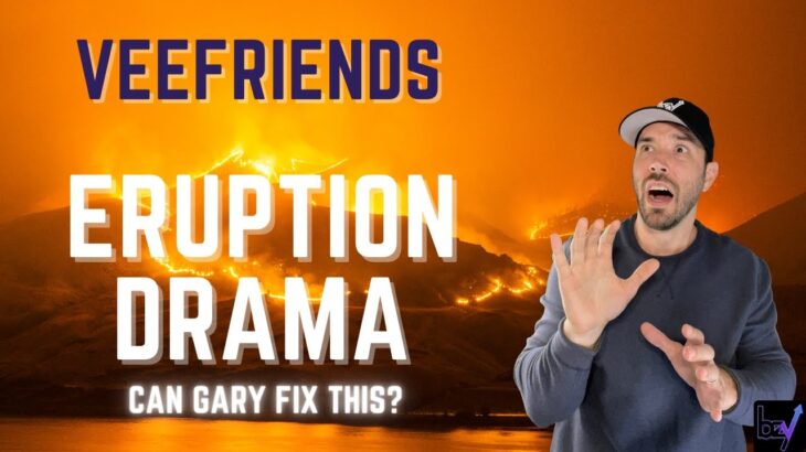 VeeFriends Eruption Drama – Can Gary Fix This? – GaryVee – NFT