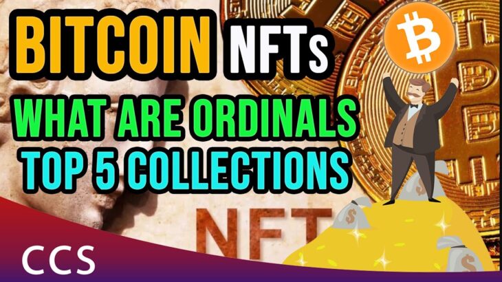 💎 What are Bitcoin Ordinals – Bitcoin NFTs  🚀  Top 5 Bitcoin NFT Collections 2023