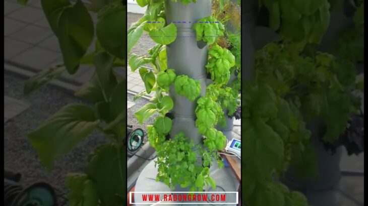 With Aerotower Grow 300% More Plants then NFT.