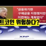 알트코인 위험하다 coinbase 비트코인 뉴스 스테이블코인  NFT BITCOIN ETH XRP ADA  CRYPTO블록체인 2023