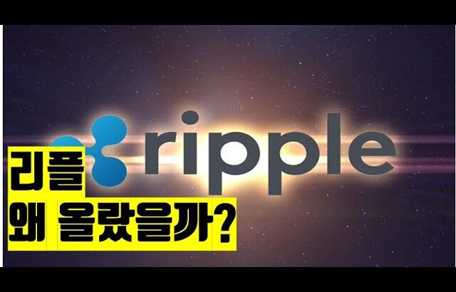 리플 왜 올랐을까? coinbase 비트코인 뉴스 스테이블코인  NFT BITCOIN ETH XRP ADA  CRYPTO블록체인 2023