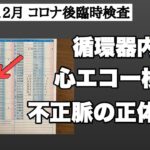 【コロナ後の不整脈】心エコー検査で分かったこと