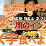 生活習慣病予防!!【畑のインスリン・きく芋食べよう!!】糖尿病・高血圧・悪玉コレステロール増加予防／イヌリン／老後の健康