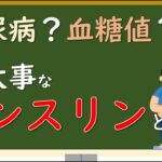 インスリンとは何か？役割と機能を解説「糖尿病はどういう状態なのか」