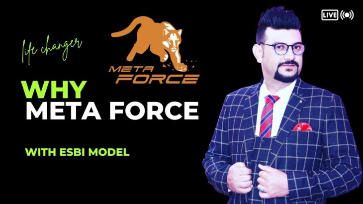 why meta force ESBI model  Business of the year #metaforce #cryptocurrency #nft #forsage #metaverse