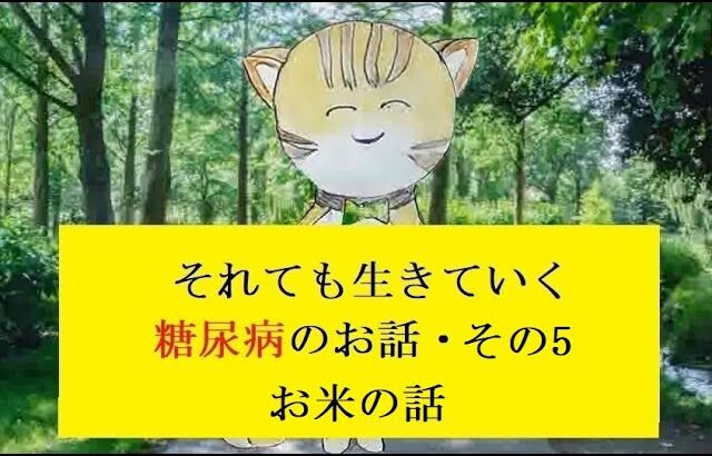 糖尿病のお話し・その05  糖質における白米