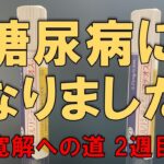 【糖尿病からの脱出】寛解に向けて。定期検査までの間に実施した内容を1週間ごとにご報告【2週目】