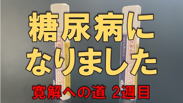 【糖尿病からの脱出】寛解に向けて。定期検査までの間に実施した内容を1週間ごとにご報告【2週目】