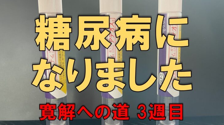 【糖尿病からの脱出】寛解に向けて。定期検査までの間に実施した内容を1週間ごとにご報告【3週目】