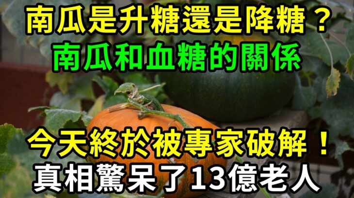 糖尿病人可以吃南瓜嗎？南瓜和血糖的關係，今天終於被專家破解！真相驚呆了13億老人【養生常談】