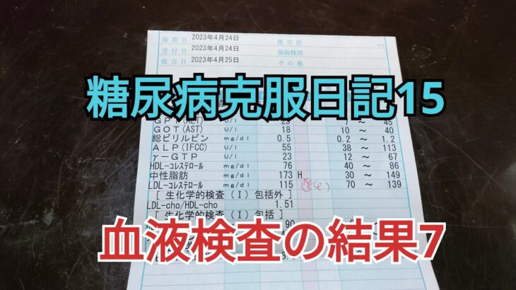 糖尿病克服日記15   血液検査の結果