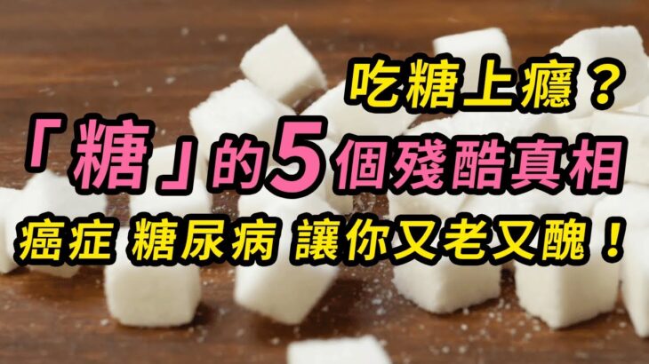 甜蜜的毒藥「糖」的5個殘酷真相！小心癌症、糖尿病 、找上你！吃糖上癮？讓你又老又醜！