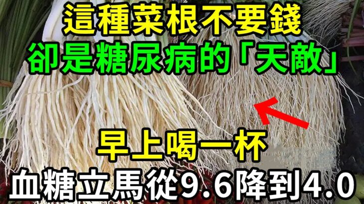 這種菜根不要錢，卻是糖尿病的「天敵」，早上喝一杯，血糖立馬從9.6降到4.0，從此血糖血壓平穩，血管乾淨，預防三高！【養生常談】