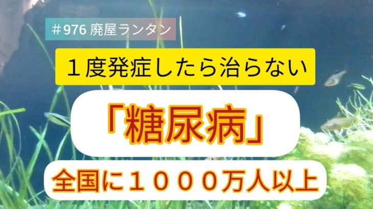 ＃976 １度発症したら治らない「糖尿病」全国に１０００万人以上。ほとんどが高齢者で、糖尿病は、いわゆる生活習慣病の典型的な病気です。2023.4.8.