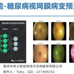 人工智能糖尿病视网膜病变预测模型 企业科研 论文 专利 AI model of diabetes retinopathy