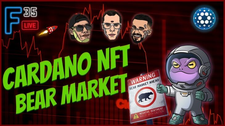 🔴 CARDANO NFT BEAR MARKET – The Best Time To Build l F35 Live #51