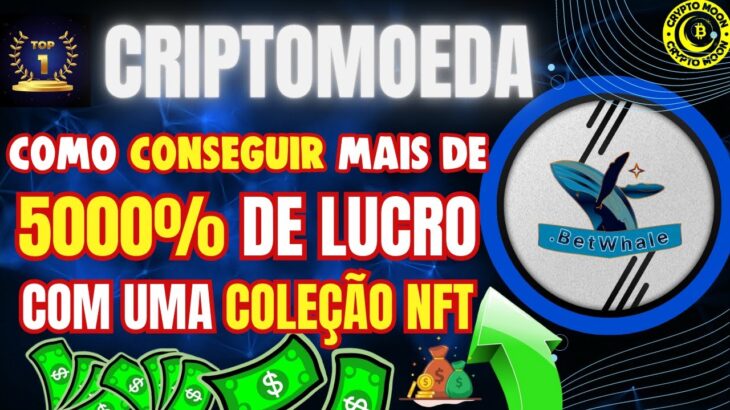 CRIPTOMOEDA,COLEÇÃO NFT PODE RENDER MAIS DE 5000% , PROJETO BETWHALE.#criptomoedas