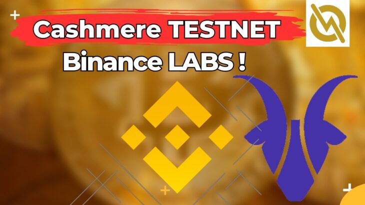 Cashmere TESTNET !  Swap ve NFT Mint İşlemleri – Binance LABS !