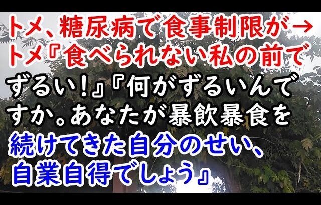 【DQN返し】トメ、糖尿病で食事制限が→トメ『食べられない私の前でずるい！』『何がずるいんですか。あなたが暴飲暴食を続けてきた自分のせい、自業自得でしょう』【痛快・スカッとジャパン】