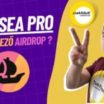 Elindult az OPENSEA PRO – várható airdrop | Ingyen NFT | Elon posztolt, felborult az NFT piac – 6529