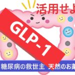 GLP-1 糖尿病の救世主・天然のお薬