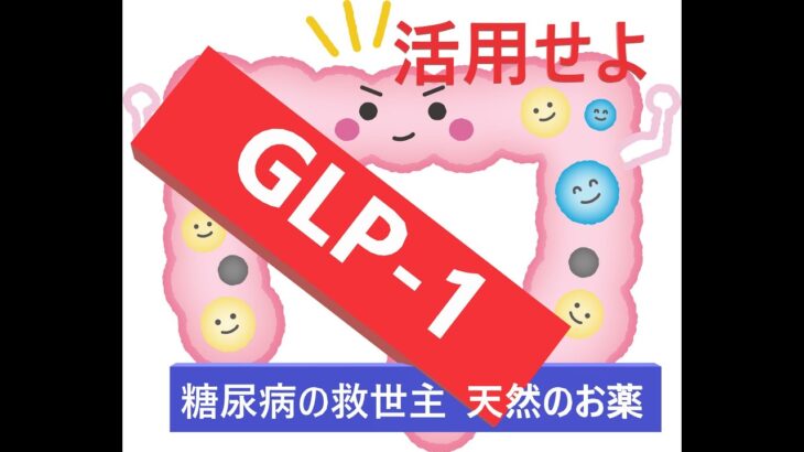 GLP-1 糖尿病の救世主・天然のお薬