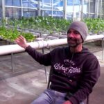 How To Grow In A Nutrient Film Technique (NFT) Hydroponic System