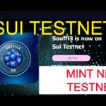 Hướng dẫn Săn Retrao #SUI Tesnet- Update Mint Thêm Vài Con NFT Bên Testnet Nữa Nhé