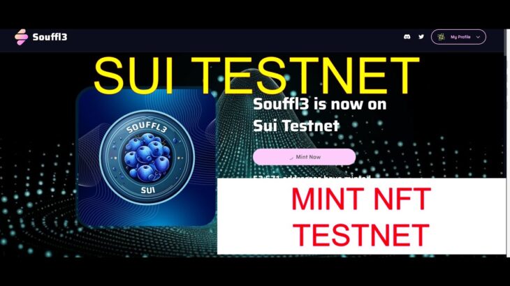 Hướng dẫn Săn Retrao #SUI Tesnet- Update Mint Thêm Vài Con NFT Bên Testnet Nữa Nhé