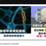 NevGro for Diabetic Neuropathy 4/5 【糖尿病并发症】真要命！