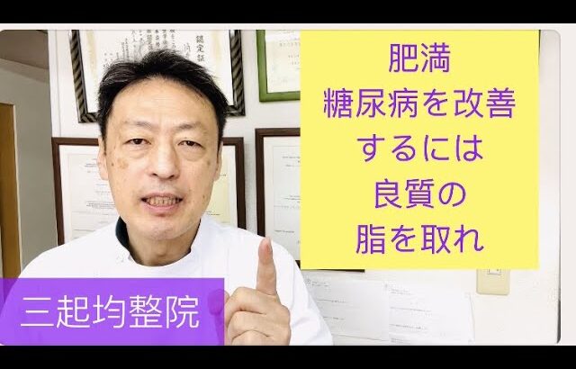 肥満、糖尿病改善には糖質を減らし良質の脂を取れ。東京都杉並区久我山駅前整体院「三起均整院」