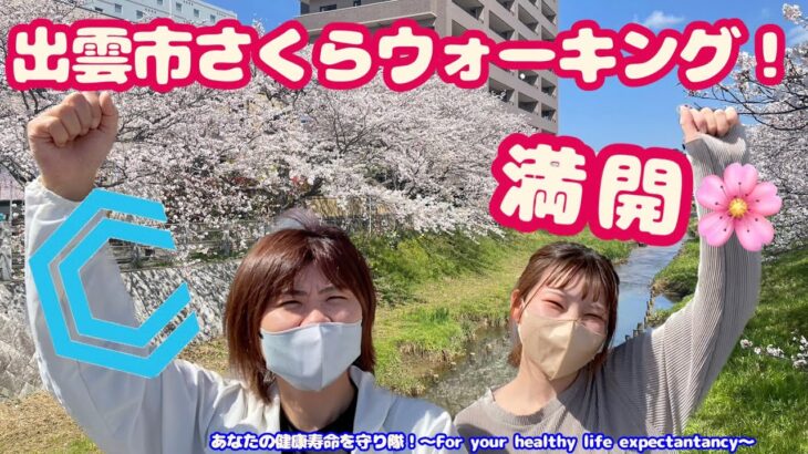 満開！🌸出雲市さくらウォーキング！【出雲市糖尿病・骨粗鬆症・内科クリニック】