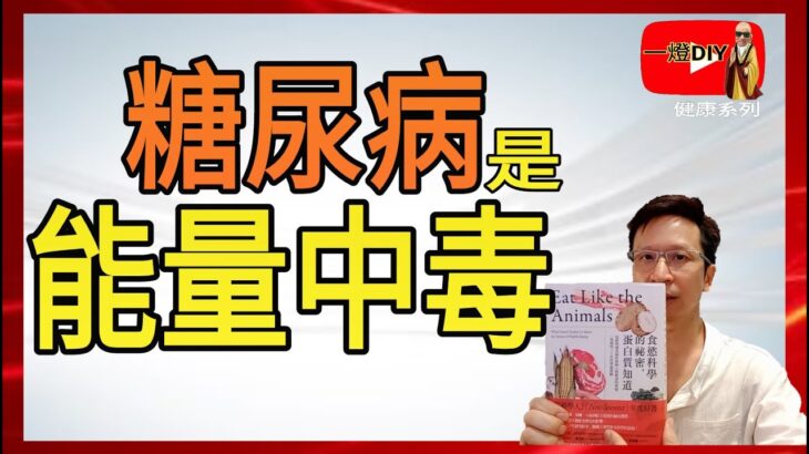 糖尿病是能量中毒！逆轉糖尿病大趨勢 控糖最大解藥是肉類？