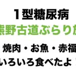 【１型糖尿病】熊野古道ぶらり旅〜焼肉・お魚・赤福いろいろ食べたよ！〜