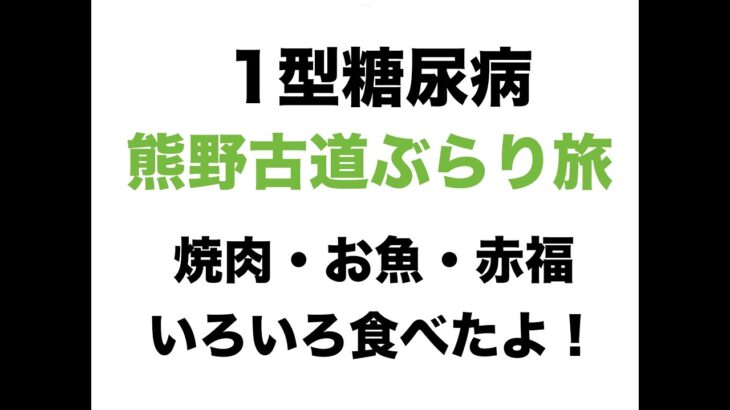 【１型糖尿病】熊野古道ぶらり旅〜焼肉・お魚・赤福いろいろ食べたよ！〜