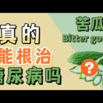 糖尿病食物 ：苦瓜真的能根治糖尿病吗？【健康之路】