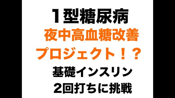 【１型糖尿病】夜中高血糖改善プロジェクト！？基礎インスリン２回打ちに挑戦！